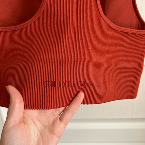 Gilly Hicks Terracotta Ribbed Tank - Picture 4 of 5